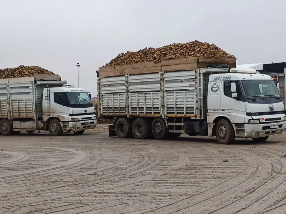 Sincan Mıcır İşleri